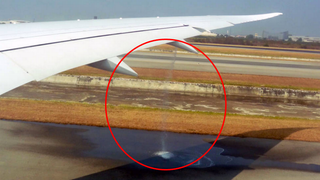 Passenger Snaps Photo of Fuel Pouring Out of a Dreamliner's Wing